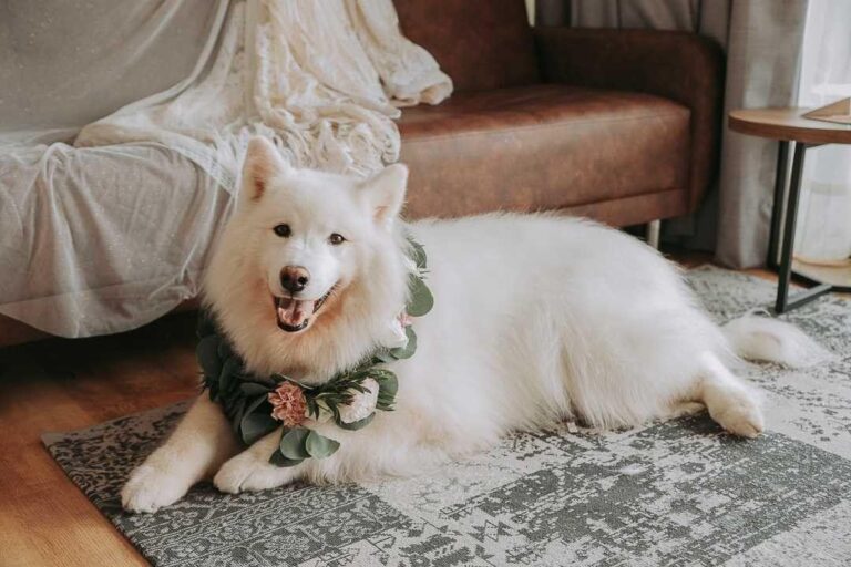 Present Wedding Rings | Wink Events