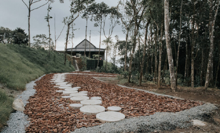 Descubre cómo la decoración de techos puede transformar tu boda. En Wink creamos atmósferas únicas con iluminación, estructuras y detalles.